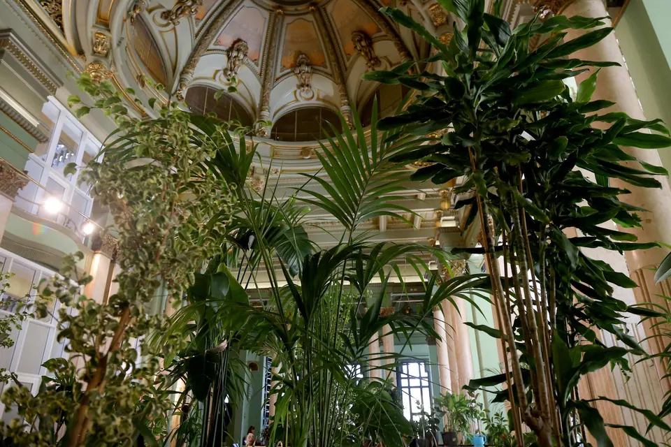 Círculo de Bellas Artes (1/2)